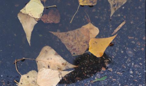 Октомври идва с много дъжд - 1