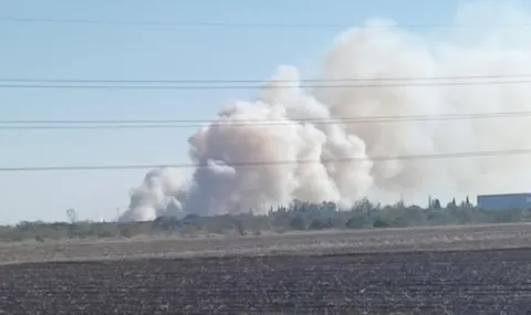 Пожар избухна край летище Пловдив и авиобаза Крумово - 1