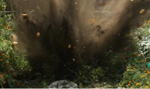 Български гений: Градинар вади картофите без да пипне мотика ВИДЕО - 1