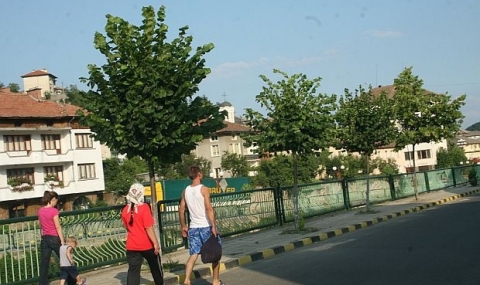 Траур в Неделино заради загиналите жени - 1