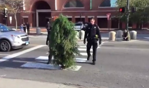 Американски полицаи арестуваха дърво - 1