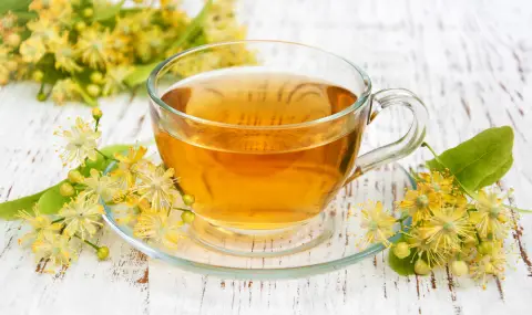 Международен ден на чая: Любопитни факти и ползи от този вековен и здравословен феномен  - 1