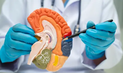 Учени работят по лечение, което може да предотврати Алцхаймер - 1