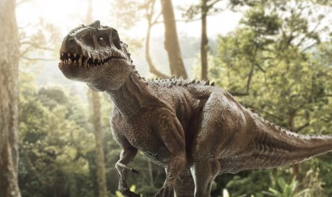 Открит е нов вид динозавър, живял на територията на Древна Румъния - 1