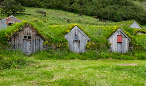 Защо по покривите на скандинавските къщи расте трева? - 1