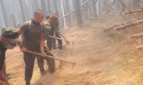 700 безработни се включват в разчистването след пожарите - 1