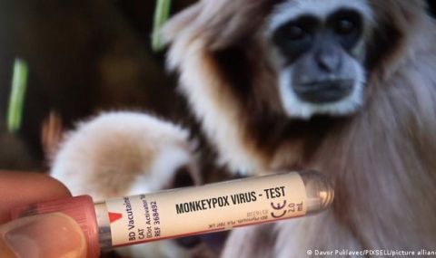 Маймунската шарка - симптоми, диагностициране, лечение и ваксинация - 1