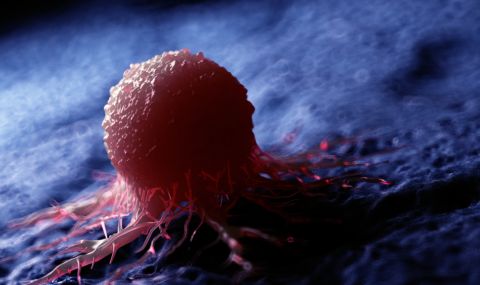 Учени откриха нова причина за заболяването от рак - 1
