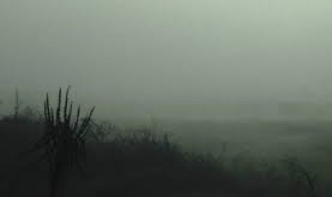 Мъглива неделя край Дунав и в Северозапада - 1