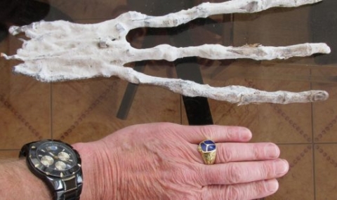 Странна извънземна ръка с три пръста се появи в Перу (снимки) - 1