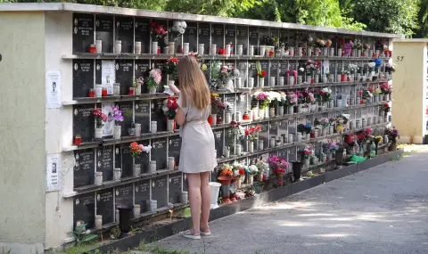 Черешова задушница е, вижте какво се прави - 1