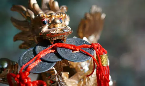 Пари, късмет и любов през декември за три зодии според китайския хороскоп - 1