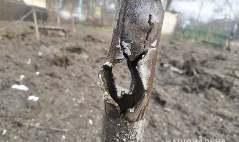 Сателитни снимки: Русия обгражда Украйна от Беларус, Донецк и Крим - 1