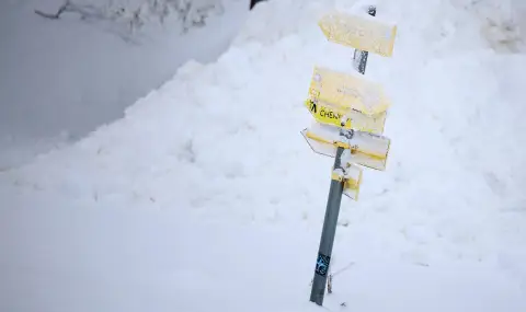 No cars allowed to Vitosha  - 1