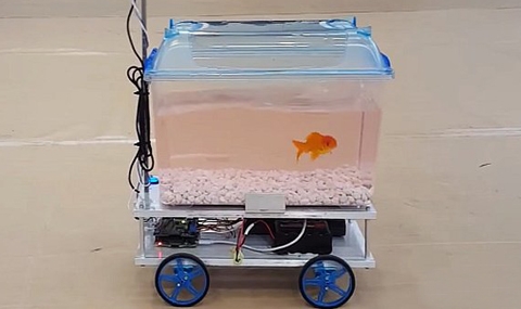 Риба, която управлява аквариум (ВИДЕО) - 1