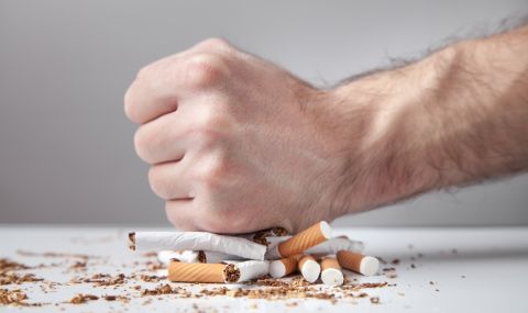 Билкар посочи билките за спиране на цигарите и пречистване на белите дробове - 1