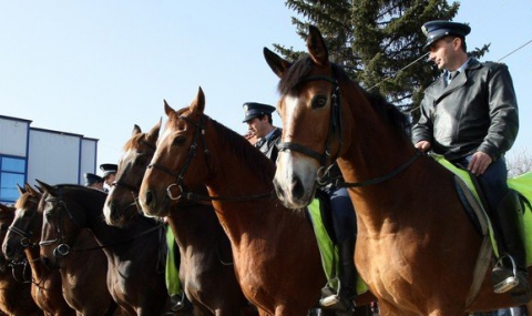 Полицията показа конния си отряд - 1