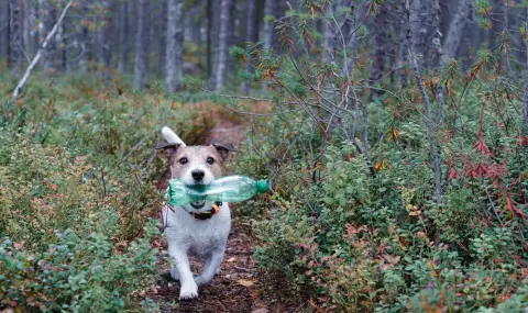 Мъж обучил кучето си да изхвърля боклука на улицата, за да не го глобят (ВИДЕО) - 1