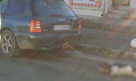 Мъж влачи куче с колата си в Бузовград - 1