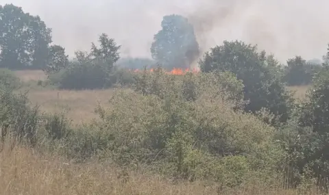 Огънят в село Воден отново се разгоря - 1