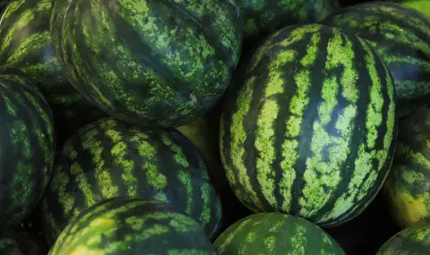Каква е цената на динята и как да разпознаем хубавата? - 1