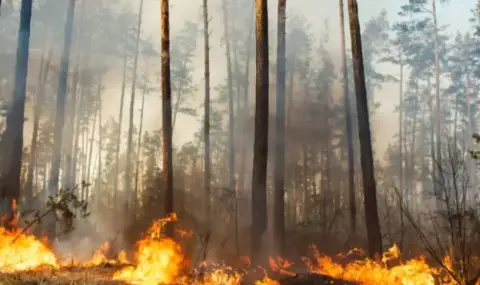 Bulgaria is on fire: 100 fires are currently active in the country  - 1