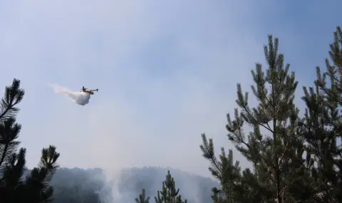 4 хеликоптера и 2 самолета от българска и гръцка страна се борят с пожара в планината Славянка