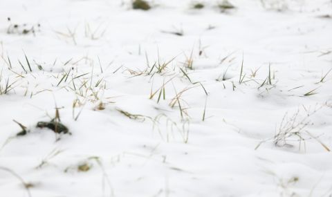 Прогноза за времето днес, 26 януари: Обилни снеговалежи, дъжд над Североизтока - 1