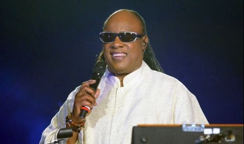 Стиви Уондър е новият собственик на имението на принца на Саудитска Арабия (СНИМКИ)  - 1