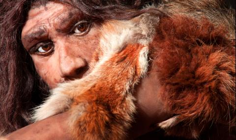 Няма човешко ДНК в генома на последните неандерталци на Земята - 1