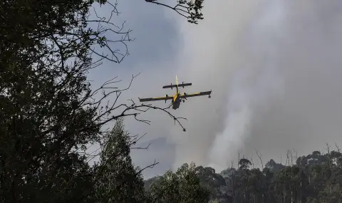 СМО: Горските пожари засилват замърсяването на въздуха - 1