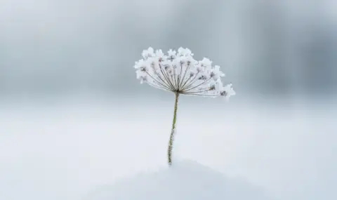 Времето днес, прогноза за понеделник, 22 декември: Остава предимно облачно и мъгливо, дъждове на югоизток