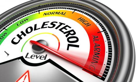 Лесен начин да преборите лошия холестерол - 1