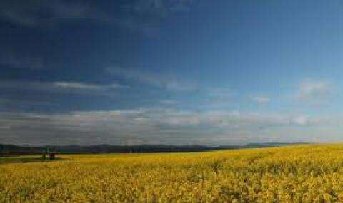 Слънчево начало на седмицата - 1