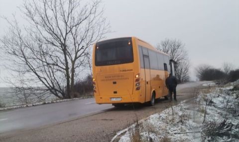 Инцидент в Русенско: Елен се блъсна в училищен автобус  - 1
