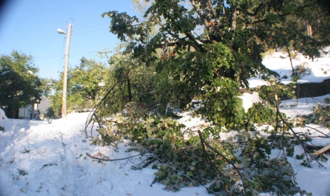 Снегът остави 15 хил. клиенти на ЧЕЗ без ток - 1