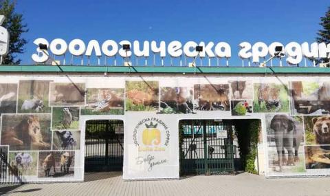 Зоопаркът в София отваря утре - 1