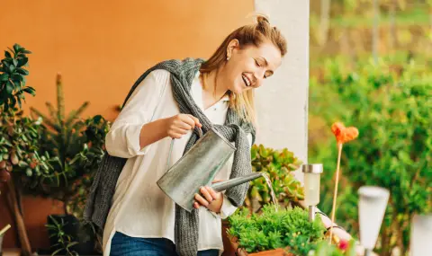 Летни капани: Най-честата грешка при поливането на саксийни растения и как да я избегнем - 1