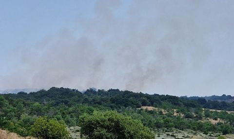 Стотици изгорели декари земя в Източните Родопи - 1
