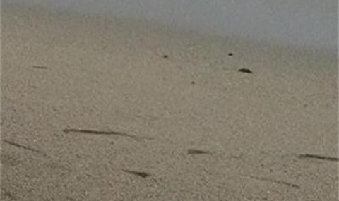 В САЩ продават пясък от Офицерския плаж във Варна - 1