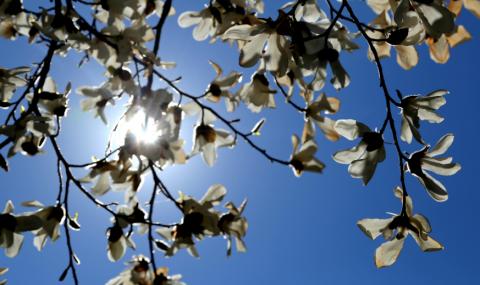 Слънчево и топло време - 1