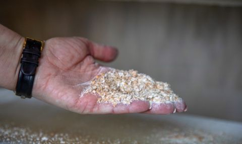 Украйна вече регистрира кораби, желаещи да използват Черноморския коридор - 1