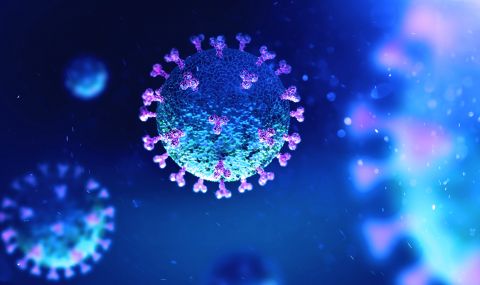 Близо до България откриха опасна мутация на коронавируса - 1