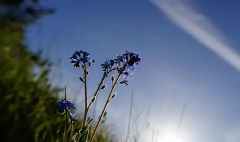 Weather today, forecast for Tuesday, April 28: Sunny, short-term precipitation in the mountainous areas  - 1