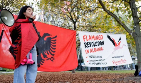 Albania: Young MP joins protests - 1
