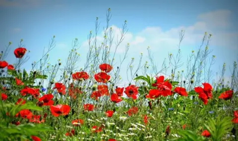 Времето днес, прогноза за понеделник, 9 юни: Остава слънчево с високи температури - 1
