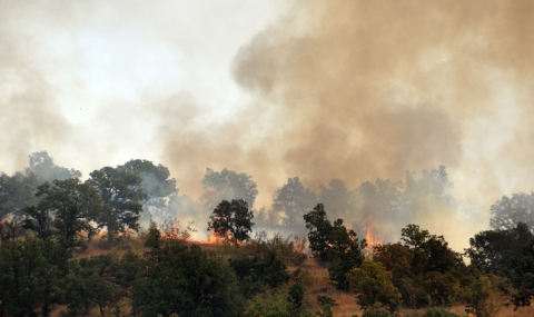 Гасят нов пожар на територията на Национален парк „Рила“ - 1