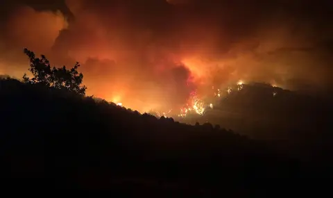 Гамизов: Не зяпайте пожарите, зяпайте джобовете си – там е пожарът, който ще ви доизгори живи - 1