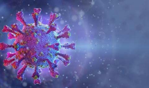 Регистрираха първи случай на повторна инфекция с коронавирус - 1