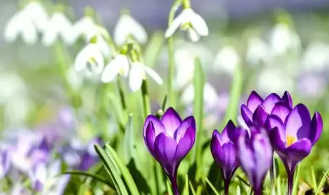 Времето днес, прогноза за събота, 7 март: Слънчево. Повече облаци следобед в планинските и източните райони